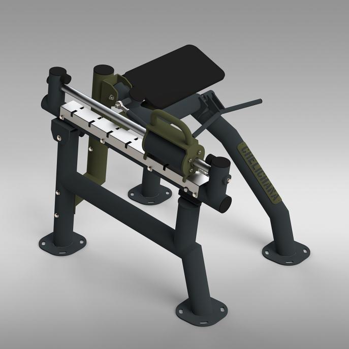 Biceps Trainer