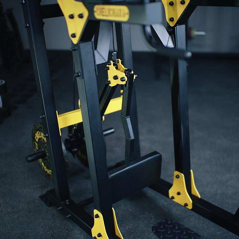 Power Tower Free Weight Assisted